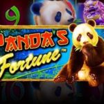 Pandanın Bəxti