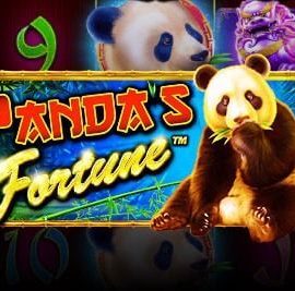 Pandanın Bəxti